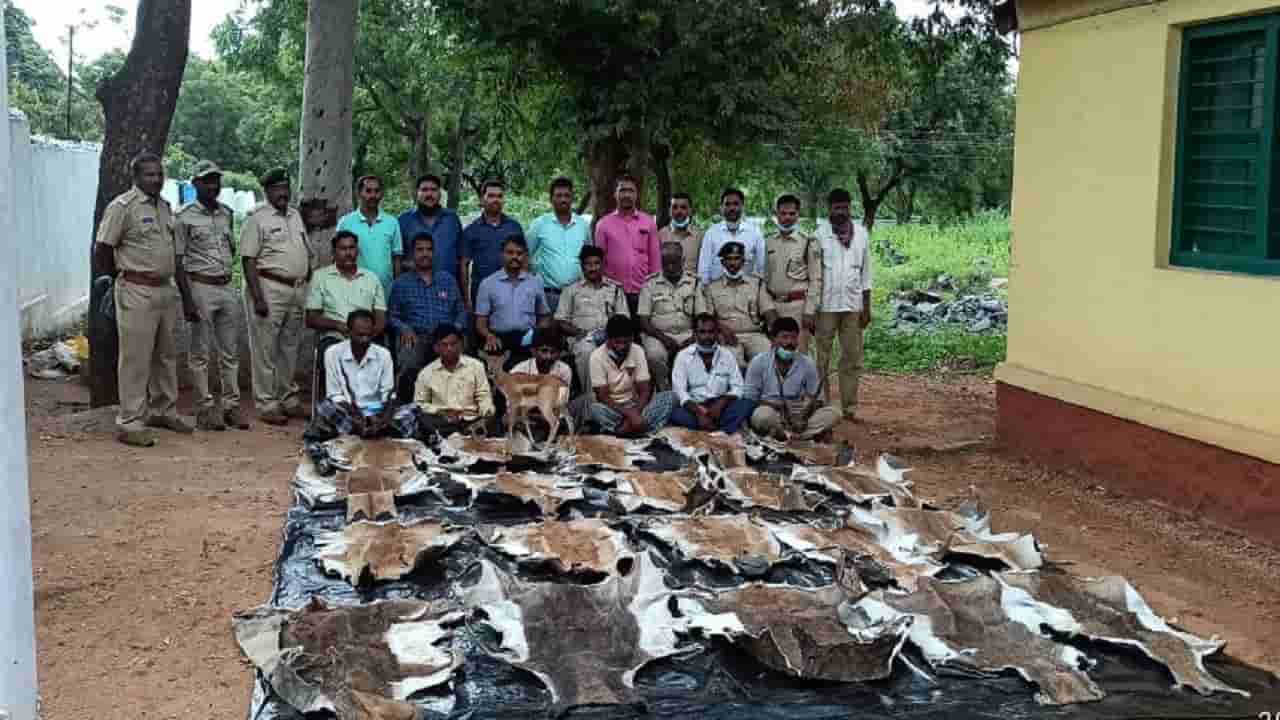 ಅರಣ್ಯ ಇಲಾಖೆ ಅಧಿಕಾರಿಗಳ ಕಾರ್ಯಾಚರಣೆ: ಕೃಷ್ಣಮೃಗ ಬೇಟೆಗಾರರ ಸೆರೆ