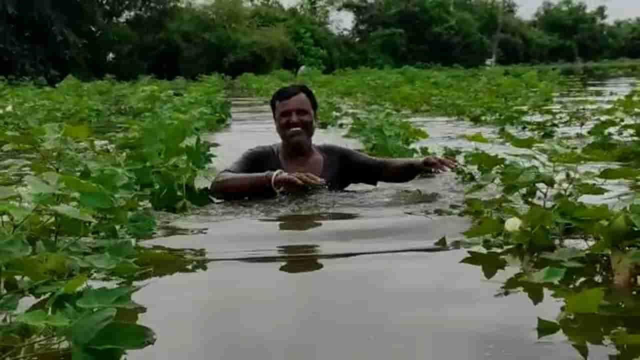 Swimming Pool ಆಯ್ತು ಜಮೀನು; ಬೆಳೆ ಮಧ್ಯೆಯೇ ಈಜಾಡಿದ ರೈತ