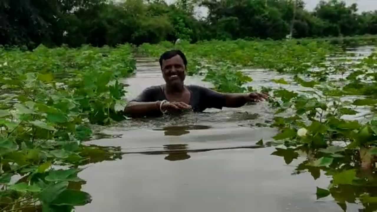Swimming Pool ಆಯ್ತು ಜಮೀನು; ಬೆಳೆ ಮಧ್ಯೆಯೇ ಈಜಾಡಿದ ರೈತ