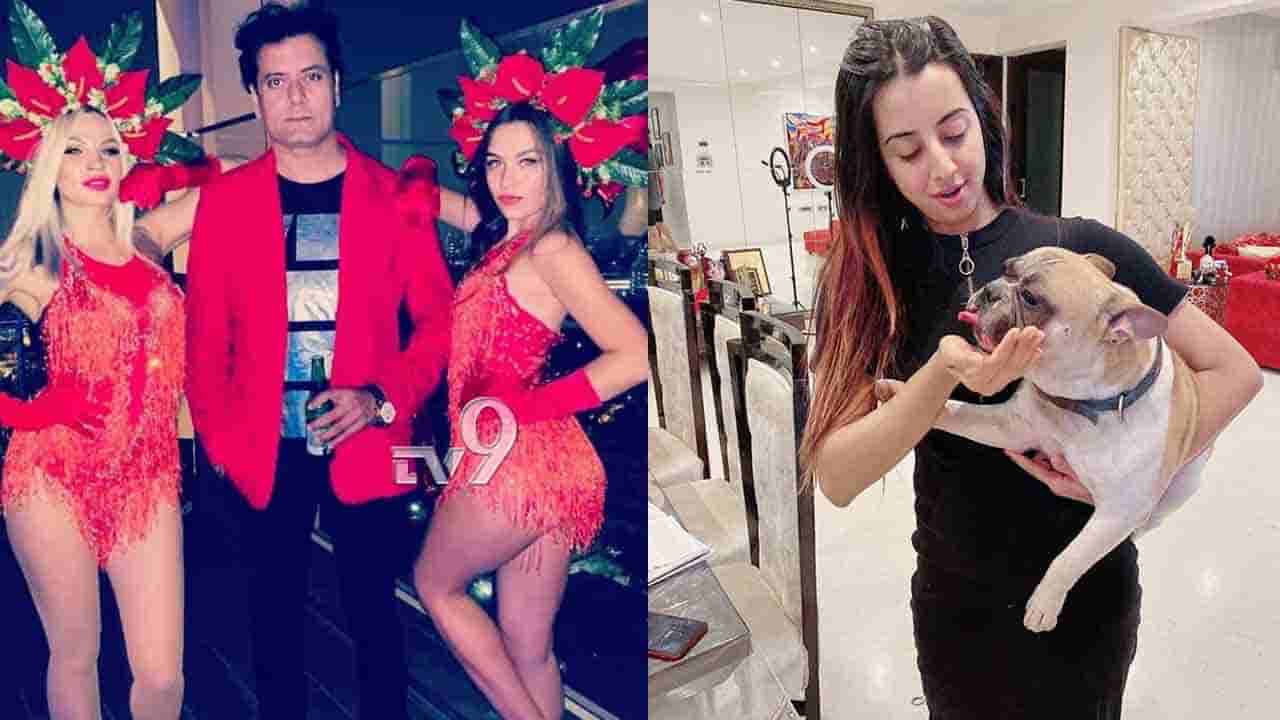 ನಾನು ನಟಿ ಸಂಜನಾಗೆ ‘ಸುಲ್ತಾನ್’ ನಾಯಿ ಕೊಟ್ಟಿದ್ದೆ -‘ಕೋಟಿ ನಾಯಿ ಒಡೆಯ’ ಸತೀಶ್ ಸ್ಪಷ್ಟನೆ