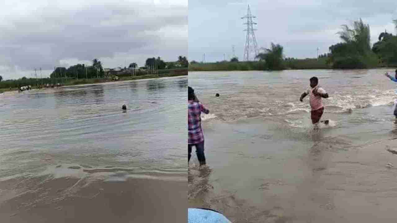 ಕುಡಿದ ಮತ್ತಿನಲ್ಲಿ ತುಂಬಿ ಹರಿಯುತ್ತಿದ್ದ ನದಿಗೆ ಹಾರಿದ ಕುಡುಕ.. ಮುಂದೇನಾಯ್ತು?