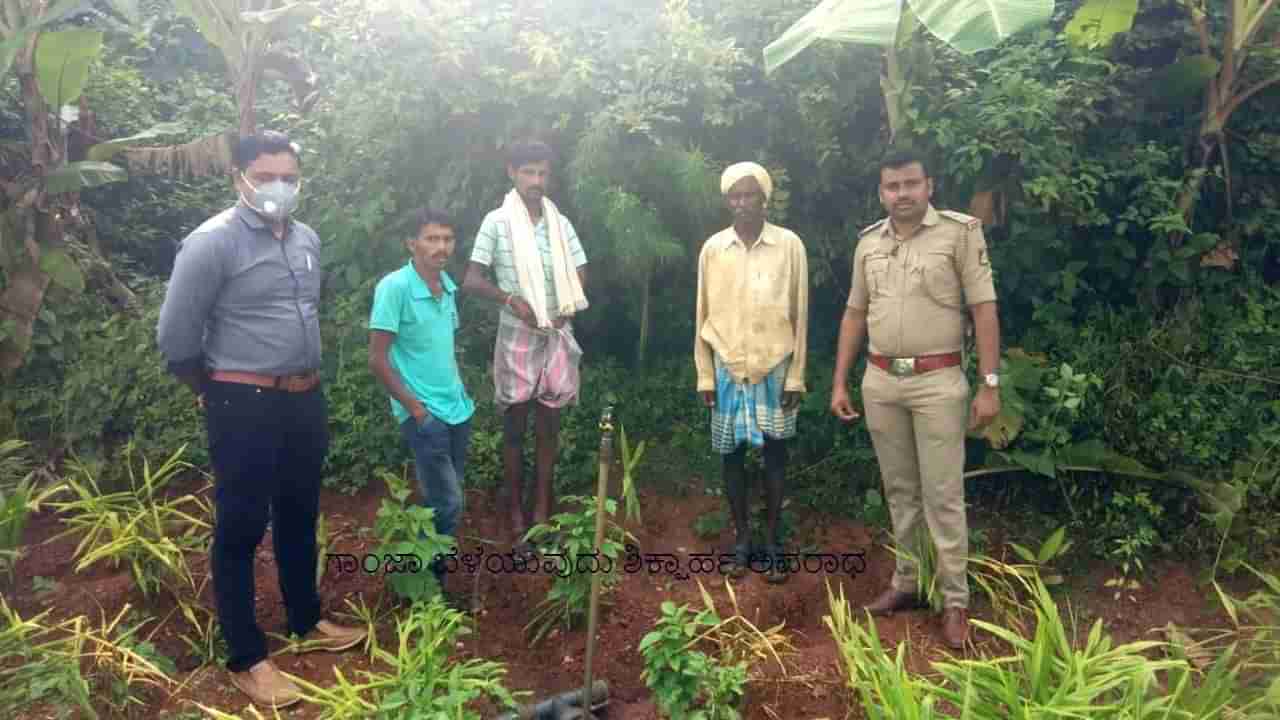ಆ ರೈತ ಪೊಲೀಸರ ಕೈಗೆ ತಗ್ಲಾಕ್ಕೊಂಡಿದ್ದು ಯಾಕೆ ಗೊತ್ತಾ?