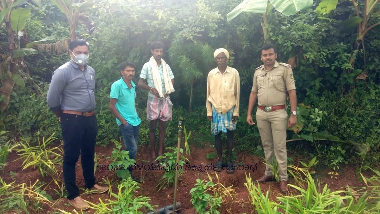 ಆ ರೈತ ಪೊಲೀಸರ ಕೈಗೆ ತಗ್ಲಾಕ್ಕೊಂಡಿದ್ದು ಯಾಕೆ ಗೊತ್ತಾ? ಆ ರೈತ ಪೊಲೀಸರ ಕೈಗೆ ತಗ್ಲಾಕ್ಕೊಂಡಿದ್ದು ಯಾಕೆ ಗೊತ್ತಾ?