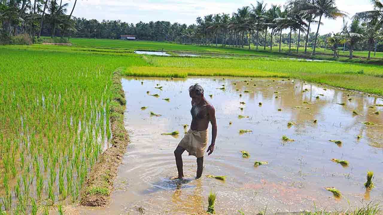 ರೈತರ ಹಣವನ್ನೂ ಬಿಡದ ರಕ್ಕಸರು, ನುಂಗಿದ ಹಣವೆಷ್ಟು ಗೊತ್ತಾ? ರೈತರ ಹಣವನ್ನೂ ಬಿಡದ ರಕ್ಕಸರು, ನುಂಗಿದ ಹಣವೆಷ್ಟು ಗೊತ್ತಾ?