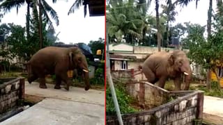 ನನಗೆ ಯಾರೋ ಚೆಂಡು ಹೂ ತೋರಿಸಿ ಇದೇ ಗಾಂಜಾ ಅಂದಿದ್ರು -CT ರವಿ