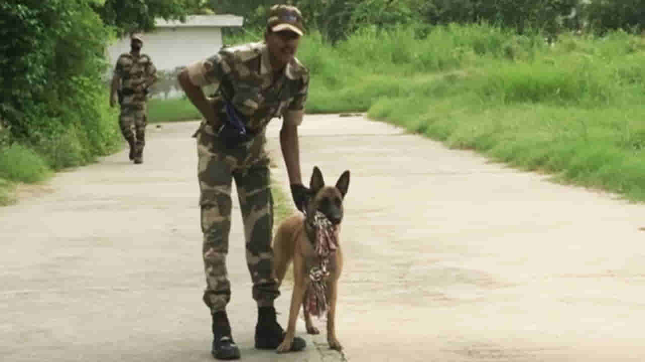 ದೆಹಲಿ ಮೆಟ್ರೋ ಭದ್ರತೆಗೆ ಒಸಾಮಾ ಬಿನ್ ಲಾಡೆನ್ ಬೇಟೆಯಾಡಿದ ಬೆಲ್ಜಿಯನ್ ಡಾಗ್ ಸ್ಕ್ವಾಡ್