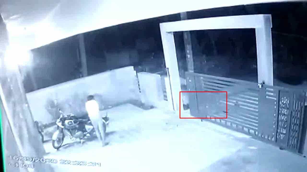 ಯಾಮಾರಿದರೆ ಯಮಲೋಕ ಸೇರುತ್ತಿದ್ದ: ಚಿರತೆ ದಾಳಿಯ ದೃಶ್ಯ CCTV ಯಲ್ಲಿ ಸೆರೆ..
