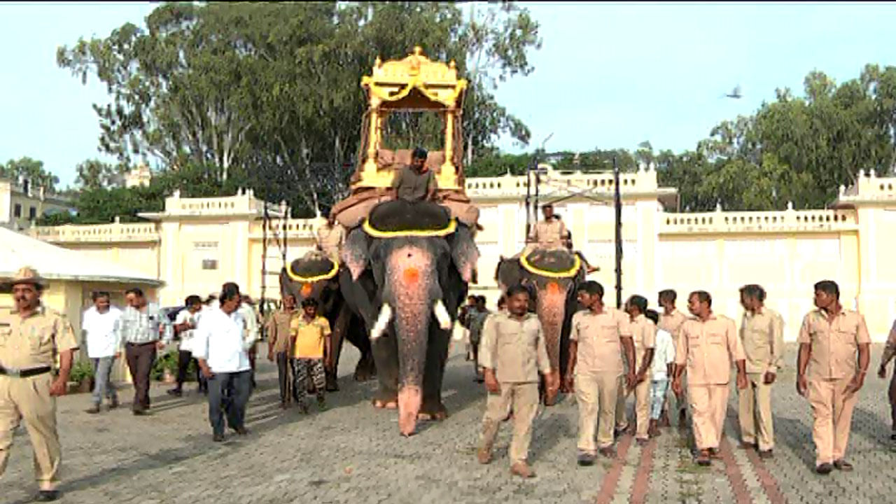 ದಸರಾ ಆನೆಗಳಿಗೂ ಕೊರೊನಾ ಪರೀಕ್ಷೆ: ಈ ಬಾರಿ ಅಂಬಾರಿ ಹೊರುವವರು ಯಾರು?