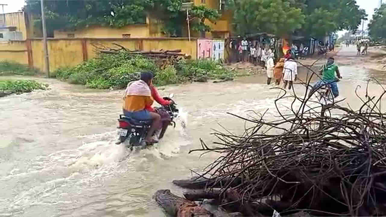 ರಾಯಚೂರು: ಭಾರಿ ಮಳೆ, ನಾಶವಾಯ್ತು ಸಾವಿರಾರು ಎಕರೆ ಭತ್ತದ ಪೈರು