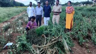 ಭೀಮಾನದಿಯಲ್ಲಿ ಈಜಲು ಹೋಗಿ ನೀರುಪಾಲಾಗಿದ್ದ ನಾಲ್ವರ ಶವ ಪತ್ತೆ