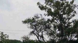 ‘ಅಂದು ದುಶ್ಯಾಸನನಂತೆ ಕಾರ್ಪೊರೇಟರ್ ಸೀರೆ ಎಳೆದಿದ್ರು, ಇವತ್ತು ಧರ್ಮರಾಯನಂತೆ ಕಾಣ್ತಾರಾ?’