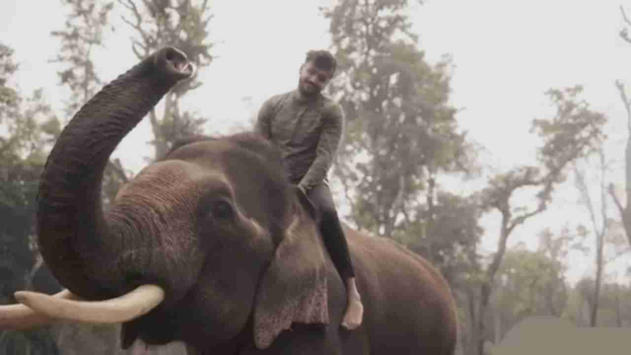 ಮತ್ತಿಗೋಡು ಶಿಬಿರದಲ್ಲಿ ಆನೆ ಮೇಲೆ ಸವಾರಿ: ನಟ ಧನ್ವೀರ್ ವಿರುದ್ಧ FIR ದಾಖಲು