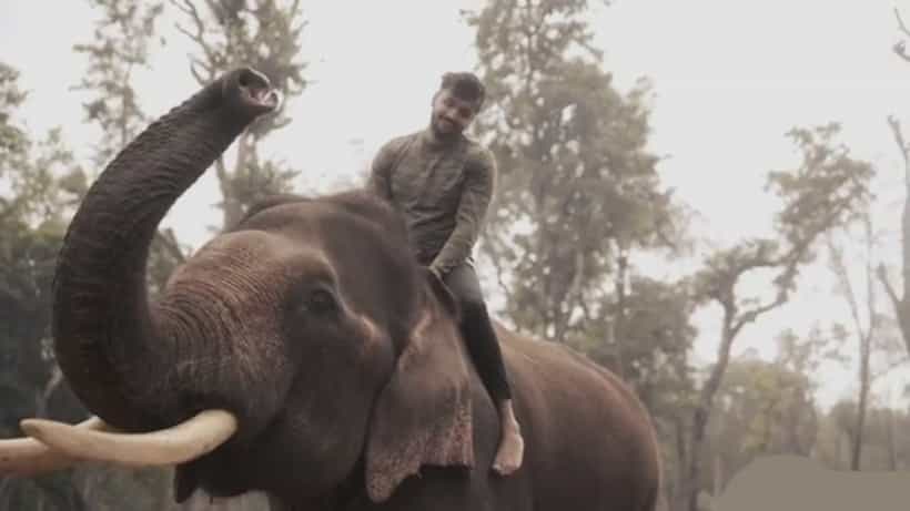 ಧನ್ವೀರ್ ಸಫಾರಿ ಇದೇ ಮೊದಲಲ್ಲ.. ಈ ಹಿಂದೆಯೂ ಆನೆ ಮೇಲೆ ಕೂತು ಪೋಸ್ ಕೊಟ್ಟಿದ್ದ ನಟ