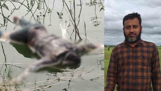 ಕಾಫಿ ತೋಟದಲ್ಲಿ ಬೇಟೆಗಾಗಿ ಹೊಂಚು ಹಾಕಿ ಮಲಗಿದ್ದ ಬೃಹತ್ ಗಾತ್ರದ ಹೆಬ್ಬಾವು ಸೆರೆ