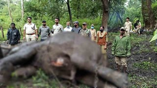 ಸೋಂಕು ಹೆಚ್ಚಳಕ್ಕೆ ಸರ್ಕಾರ ಕಾರಣವಲ್ಲ.. ಆತ್ಮಾವಲೋಕನ ಮಾಡ್ಕೊಳ್ಳಬೇಕು: ರೇಣುಕಾಚಾರ್ಯ