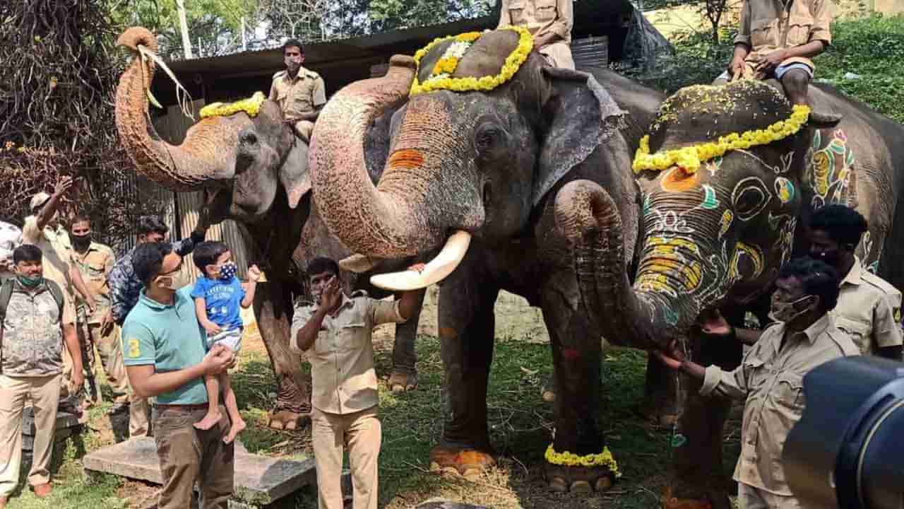 ಅರಮನೆ ಆವರಣದಲ್ಲಿ ರಾಜವಂಶಸ್ಥ ಯದುವೀರ್, ಪುಟ್ಟ ಆದ್ಯವೀರ್ ರೌಂಡ್ಸ್!