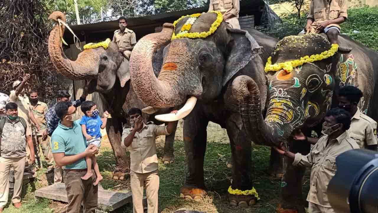 ಅರಮನೆ ಆವರಣದಲ್ಲಿ ರಾಜವಂಶಸ್ಥ ಯದುವೀರ್​, ಪುಟ್ಟ ಆದ್ಯವೀರ್​ ರೌಂಡ್ಸ್!