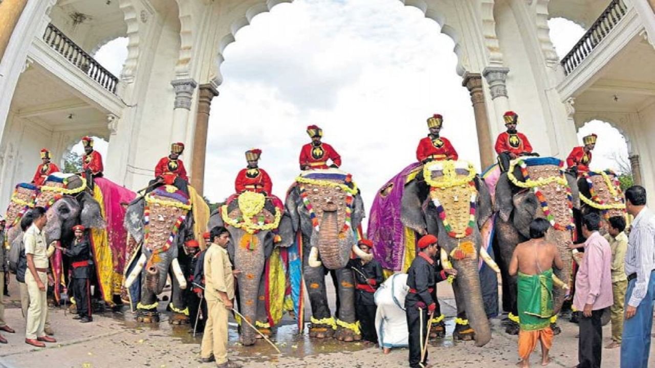 Mysuru Dasara 2021: ಮೈಸೂರು ಅರಮನೆಗೆ ಇಂದು ದಸರಾ ಗಜಪಡೆ ಆಗಮನ, ಅದ್ಧೂರಿ ಸ್ವಾಗತಕ್ಕಾಗಿ ಸಿದ್ಧತೆ Mysuru Dasara 2021: ಮೈಸೂರು ಅರಮನೆಗೆ ಇಂದು ದಸರಾ ಗಜಪಡೆ ಆಗಮನ, ಅದ್ಧೂರಿ ಸ್ವಾಗತಕ್ಕಾಗಿ ಸಿದ್ಧತೆ
