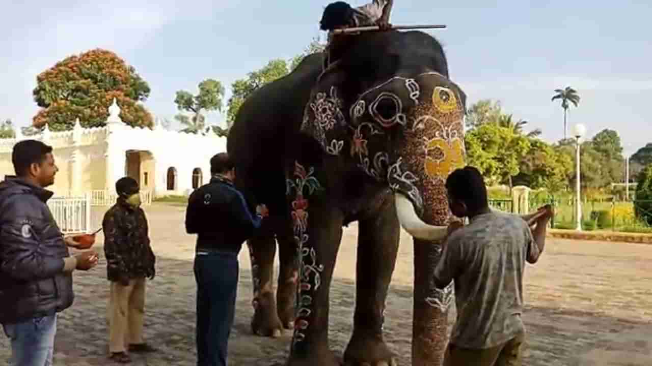 ವಿಶೇಷ ಬಣ್ಣಗಳಿಂದ ಸಜ್ಜಾದವು ಪಟ್ಟದ ಆನೆಗಳು, ಚಿತ್ರಗಳ ಮೂಲಕ ಕಣ್ತುಂಬಿಕೊಳ್ಳಿ