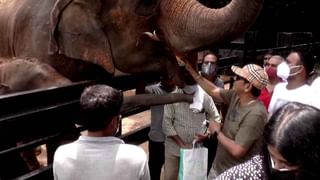 ಅಭಿಮನ್ಯು ನೇತೃತ್ವದ ದಸರಾ ಗಜಪಡೆಗೆ ಸಾಂಪ್ರದಾಯಿಕ ಪೂಜೆ; ಗಜಪಯಣಕ್ಕೆ ಚಾಲನೆ