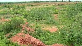 ಕುಕ್ಕೆ ಸುಬ್ರಹ್ಮಣ್ಯ ದೇವಸ್ಥಾನಕ್ಕೆ ನೂತನ ಅಭಿವೃದ್ಧಿ ಸಮಿತಿ ರಚನೆ