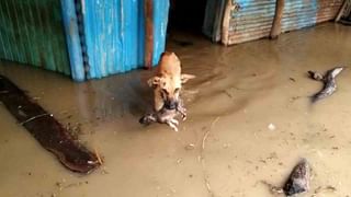 IMA ವಂಚನೆ: ಉನ್ನತ ಪೊಲೀಸ್​ ಅಧಿಕಾರಿಗಳ ವಿರುದ್ಧವೂ CBIನಿಂದ ಚಾರ್ಜ್‌ಶೀಟ್ ದಾಖಲು