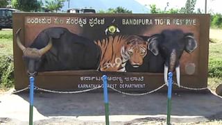 ಜ್ವರ ಬಂದು ಮನೆಯಲ್ಲಿ ಮಲಗಿದ್ದೆ, ಬೈ ಎಲೆಕ್ಷನ್ ಸ್ವಲ್ಪ ದಿನ ಮುಂದೂಡಿದ್ರೆ ಏನಾಗ್ತಿತ್ತು?: HDK