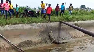 ಅಪ್ಪ-ತಾತನ ಹೆಸರು ಹೇಳಿ ರಾಜಕೀಯ ಮಾಡ್ತಿದ್ದವರು ನಿರುದ್ಯೋಗಿಗಳಾಗಿದ್ದಾರೆ -ತೇಜಸ್ವಿ