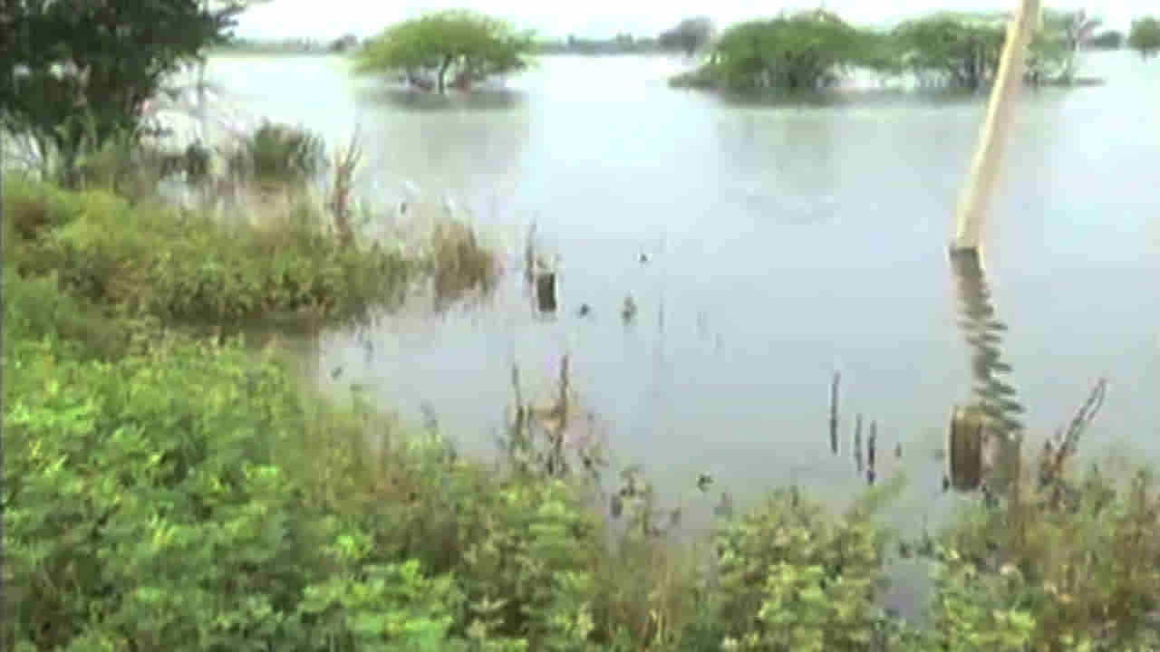 ಭೀಮೆ ರೌದ್ರತೆಗೆ ಕೊಚ್ಚಿ ಹೋದವು ಬಂಗಾರದ ಬೆಳೆಗಳು, ಜಮೀನಲ್ಲಿ ನಿಂತಿದೆ 10 ಅಡಿ ನೀರು