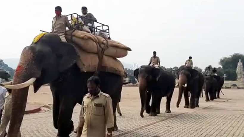 ಅರಮನೆ ಆವರಣದಲ್ಲಿಯೇ ನಡೆದ ಗಜಪಡೆಗೆ ಭಾರ ಹೊರಿಸುವ ತಾಲೀಮು