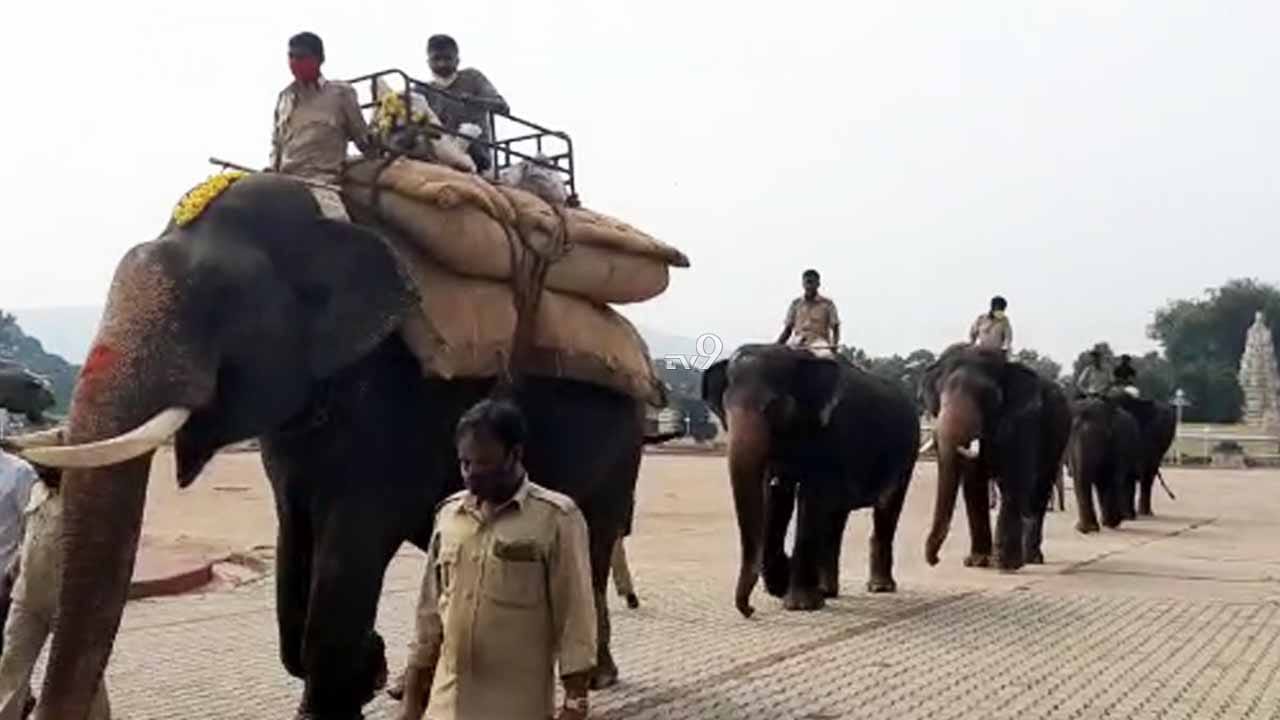 ಅರಮನೆ ಆವರಣದಲ್ಲಿಯೇ ನಡೆದ ಗಜಪಡೆಗೆ ಭಾರ ಹೊರಿಸುವ ತಾಲೀಮು ಅರಮನೆ ಆವರಣದಲ್ಲಿಯೇ ನಡೆದ ಗಜಪಡೆಗೆ ಭಾರ ಹೊರಿಸುವ ತಾಲೀಮು