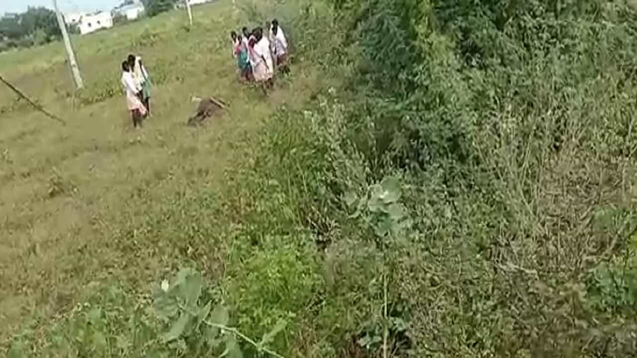 ಆಕಸ್ಮಿಕವಾಗಿ ವಿದ್ಯುತ್ ತಂತಿ ಸ್ಪರ್ಶಿಸಿ ಮಹಿಳೆ, ಎಮ್ಮೆ ಸಾವು