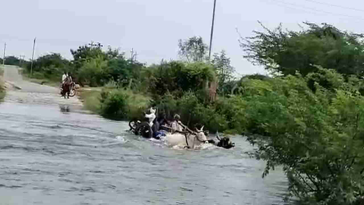 ನೀರಿನ ರಭಸಕ್ಕೆ ಹಳ್ಳದಲ್ಲಿ ಕೊಚ್ಚಿಹೋದ ಎತ್ತಿನ ಬಂಡಿ, ಎತ್ತು ಸೇರಿ ನಾಲ್ವರು ಏನಾದರು?