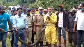 ಬೆಂಗಳೂರಿಗೆ ಕಾಡುತ್ತಿದೆ ICU ಕೊರತೆ, ಮುಂದೆ ಇದೆ ಕಂಟಕ..