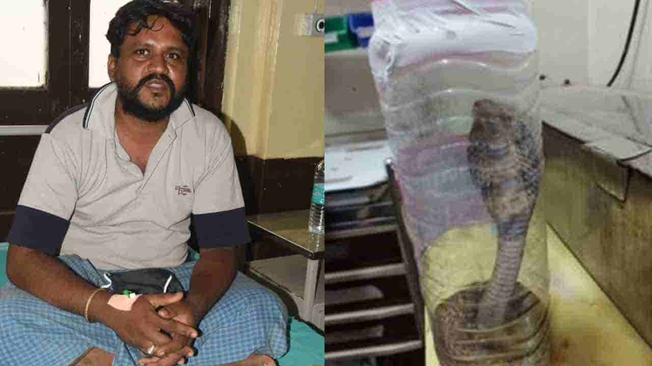 ಹಾವುಗಳನ್ನು ಹಿಡಿದು ಕಾಡಿಗೆ ಬಿಡ್ತಿದ್ದ.. ಆದರೆ ತನಗೆ ಕಚ್ಚಿದ ಹಾವನ್ನೇ ಆಸ್ಪತ್ರೆಗೆ ತಂದ..