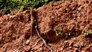 ‘ಅಶೋಕ್ ಇದಾನಲ್ಲ ಅವನು ಬೇಲ್ ಮೇಲಿದಾನೆ.. ಗೊತ್ತಾ ನಿಮಗೆಲ್ಲ?’