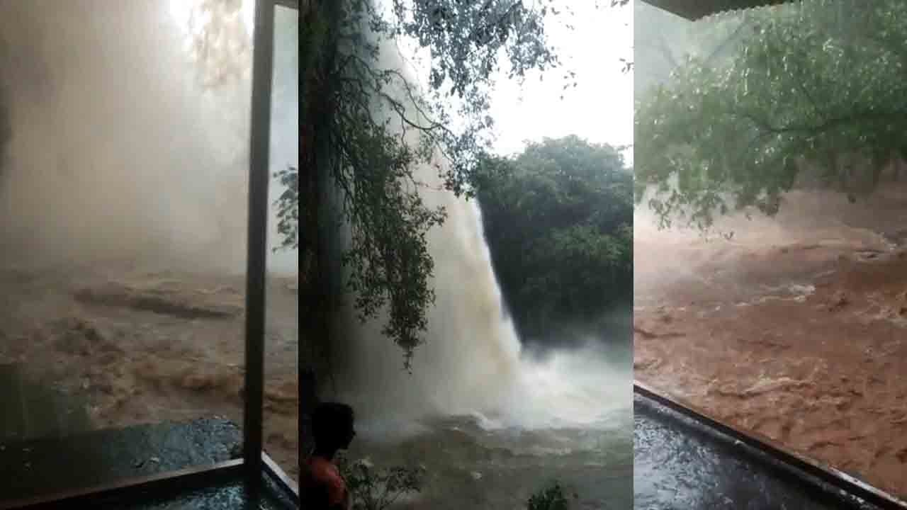 ಧುಮ್ಮಿಕ್ಕಿ ಹರಿಯುತ್ತಿದೆ ವರವಿ ಕೊಳ್ಳ.. ಅಪಾಯವಿದ್ರೂ ಪ್ರವಾಸಿಗರು ಫುಲ್ ಎಂಜಾಯ್ ಧುಮ್ಮಿಕ್ಕಿ ಹರಿಯುತ್ತಿದೆ ವರವಿ ಕೊಳ್ಳ.. ಅಪಾಯವಿದ್ರೂ ಪ್ರವಾಸಿಗರು ಫುಲ್ ಎಂಜಾಯ್