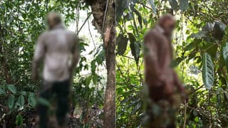 ಮಲೆ ಮಹದೇಶ್ವರ ಸ್ವಾಮಿ ದೇವಸ್ಥಾನ ಭಕ್ತರ ದರ್ಶನಕ್ಕೆ ಮುಕ್ತ