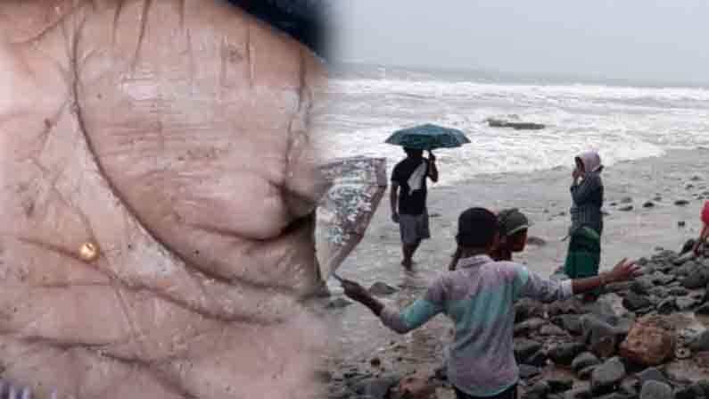 ‘ಚಿನ್ನ’ ತಂದ ನೀವಾರ್ ಚಂಡಮಾರುತ; ಸಮುದ್ರ ತೀರಕ್ಕೆ ಮೀನುಗಾರರು ದೌಡು