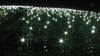 ತುಂಬು ಕುಟುಂಬ: 14 ಜನರ ಪೈಕಿ 9 ಜನ ಅಂಧರು, ಎರಡು ವರ್ಷಗಳಿಂದ ಸಿಗುತ್ತಿಲ್ಲ ಅಂಧತ್ವ ವೇತನ