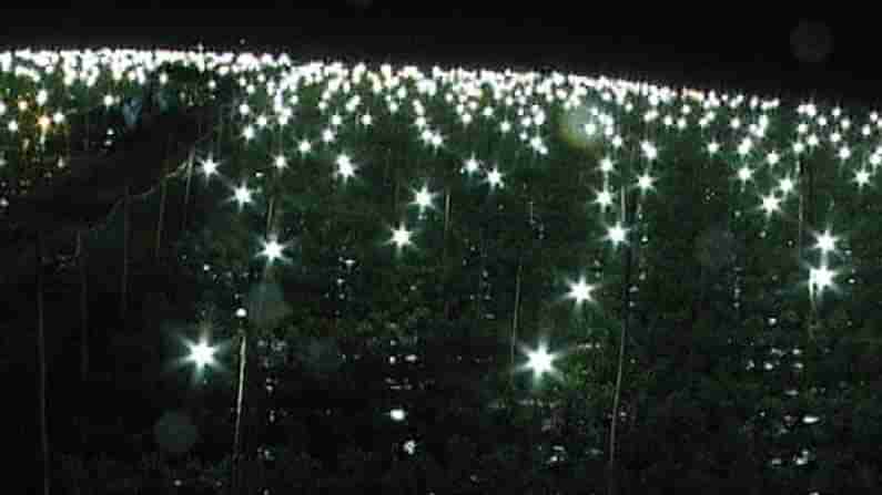 ಹಗಲು ಹಸಿರಿನ ತೋಟ - ರಾತ್ರಿ ನಕ್ಷತ್ರ ಲೋಕ.. ಇದು ಕೋಲಾರದಲ್ಲಿ ರೈತನ ಹೊಸ ಪ್ರಯೋಗ!