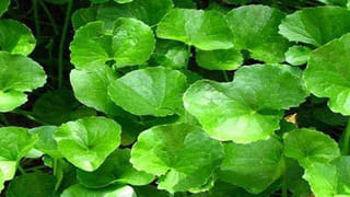 ಡಿಕೆಶಿ ಜನರ ದಿಕ್ಕು ತಪ್ಪಿಸುವ ಕೆಲಸ ಮಾಡಬಾರದು -ವಿಡಿಯೋ ಹೇಳಿಕೆಗೆ ಈಶ್ವರಪ್ಪ ತಿರುಗೇಟು