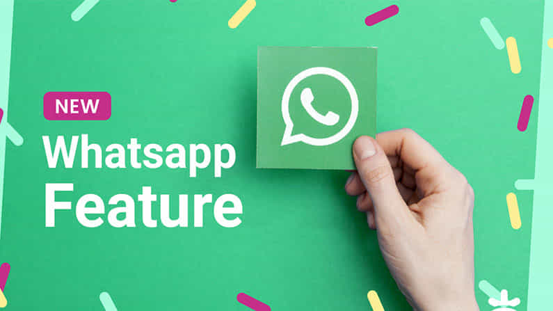 WhatsApp Privacy: ವಾಟ್ಸ್ಆ್ಯಪ್ ಗೌಪ್ಯತೆ ನೀತಿಯನ್ನು ಗ್ರಾಹಕರು ಪಾಲಿಸದೇ ಇದ್ದರೆ ಏನಾಗುತ್ತೆ?