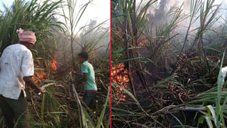 ಸರ್ಕಾರದ ಆದೇಶಕ್ಕೂ ಮುನ್ನವೇ BEd ಕಾಲೇಜು ಆರಂಭ: ಆತಂಕದಲ್ಲಿ ವಿದ್ಯಾರ್ಥಿಗಳು, ಯಾವೂರಲ್ಲಿ?