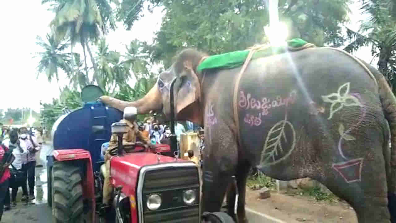 ಹಂಪಿ ಉತ್ಸವ ವೇಳೆ ಬಾಯಾರಿಕೆಯಿಂದ ಬಸವಳಿದಿದ್ದ ಗಜರಾಜ ಮಾಡಿದ್ದೇನು ಗೊತ್ತಾ? photos