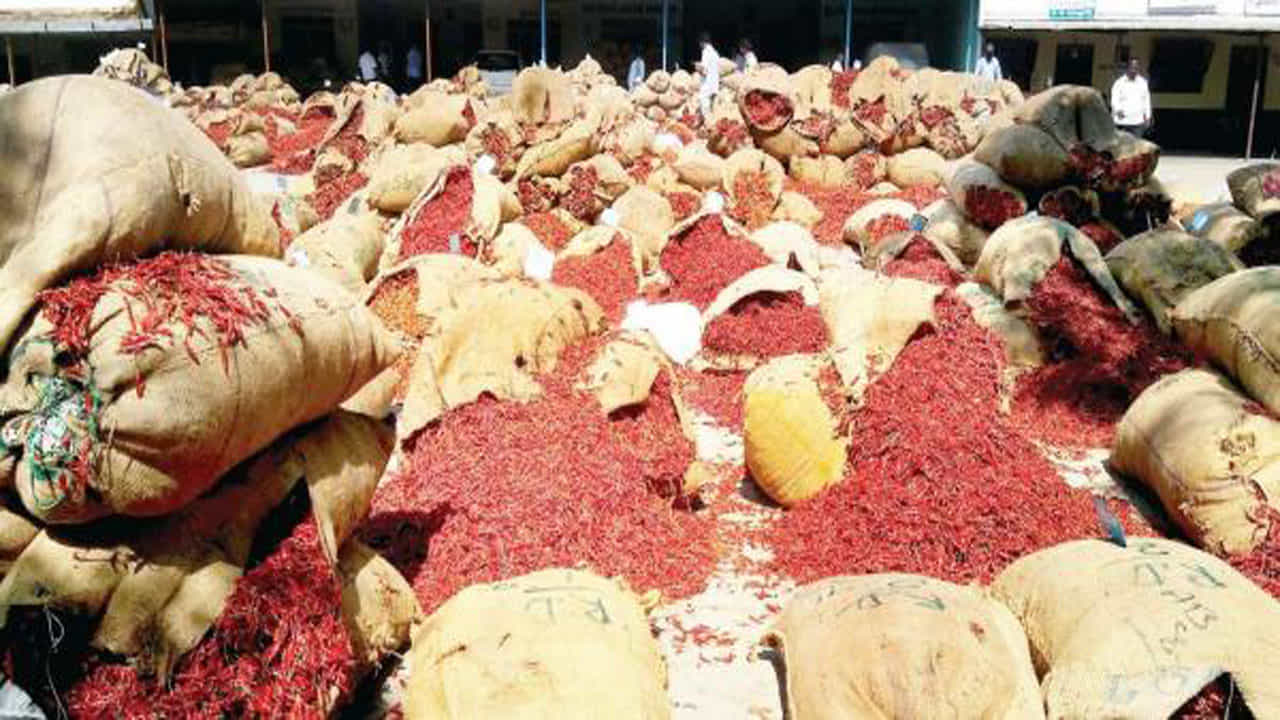 ಬ್ಯಾಡಗಿ ಮೆಣಸಿನಕಾಯಿ ಬೆಂಗಳೂರಿನಲ್ಲಿ ಗ್ರಾಹಕರಿಗೆ ಮತ್ತಷ್ಟು ಖಾರ.. ಬ್ಯಾಡಗಿ ಮೆಣಸಿನಕಾಯಿ ಬೆಂಗಳೂರಿನಲ್ಲಿ ಗ್ರಾಹಕರಿಗೆ ಮತ್ತಷ್ಟು ಖಾರ..
