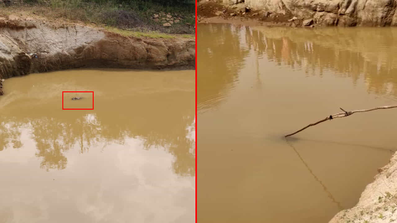 ಚಿಕ್ಕಬಳ್ಳಾಪುರ: ನೀರಿನಲ್ಲಿ ಮುಳುಗಿ ನಾಲ್ಕು ಮಕ್ಕಳ ದಾರುಣ ಸಾವು ಚಿಕ್ಕಬಳ್ಳಾಪುರ: ನೀರಿನಲ್ಲಿ ಮುಳುಗಿ ನಾಲ್ಕು ಮಕ್ಕಳ ದಾರುಣ ಸಾವು