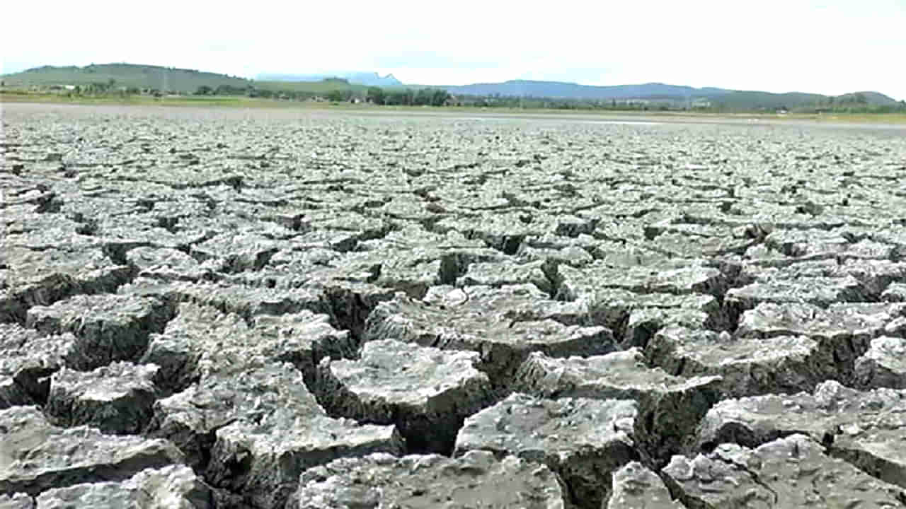 ವರುಣನ ಕರುಣೆಯೋ, ಜನಪ್ರತಿನಿಧಿಗಳೇ ಎಚ್ಚೆತ್ತುಕೊಂಡರೋ..? ಒಟ್ನಲ್ಲಿ ಬತ್ತಿದ ಕೆರೆಗಳಿಗೆ ಸದ್ಯದಲ್ಲೇ ಭರಪೂರ ನೀರು