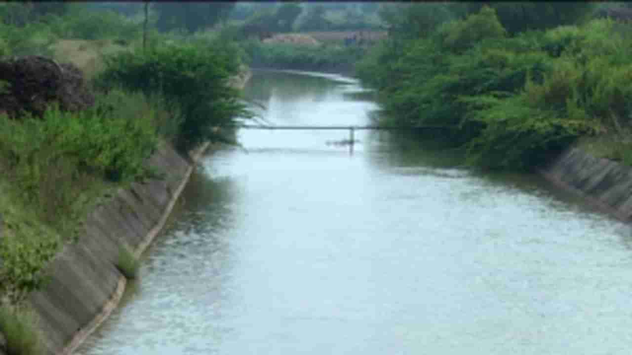 ವರವಾಗಬೇಕಿದ್ದ ಕಾಲುವೆ ರೈತರಿಗೆ ಶಾಪವಾಗಿದೆ, ಅಧಿಕಾರಿಗಳ ಯಡವಟ್ಟಿಂದ ಅನ್ನದಾತ ಉಪವಾಸ