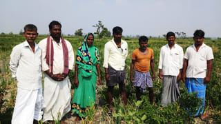 ಡ್ರಗ್ಸ್​ ಕೇಸ್​:  ಶಿವಕುಮಾರ್ ಚಿಪ್ಪಿ ಯಾವುದೇ ಕ್ಷಣ CCB ಯಿಂದ ಬಂಧನ